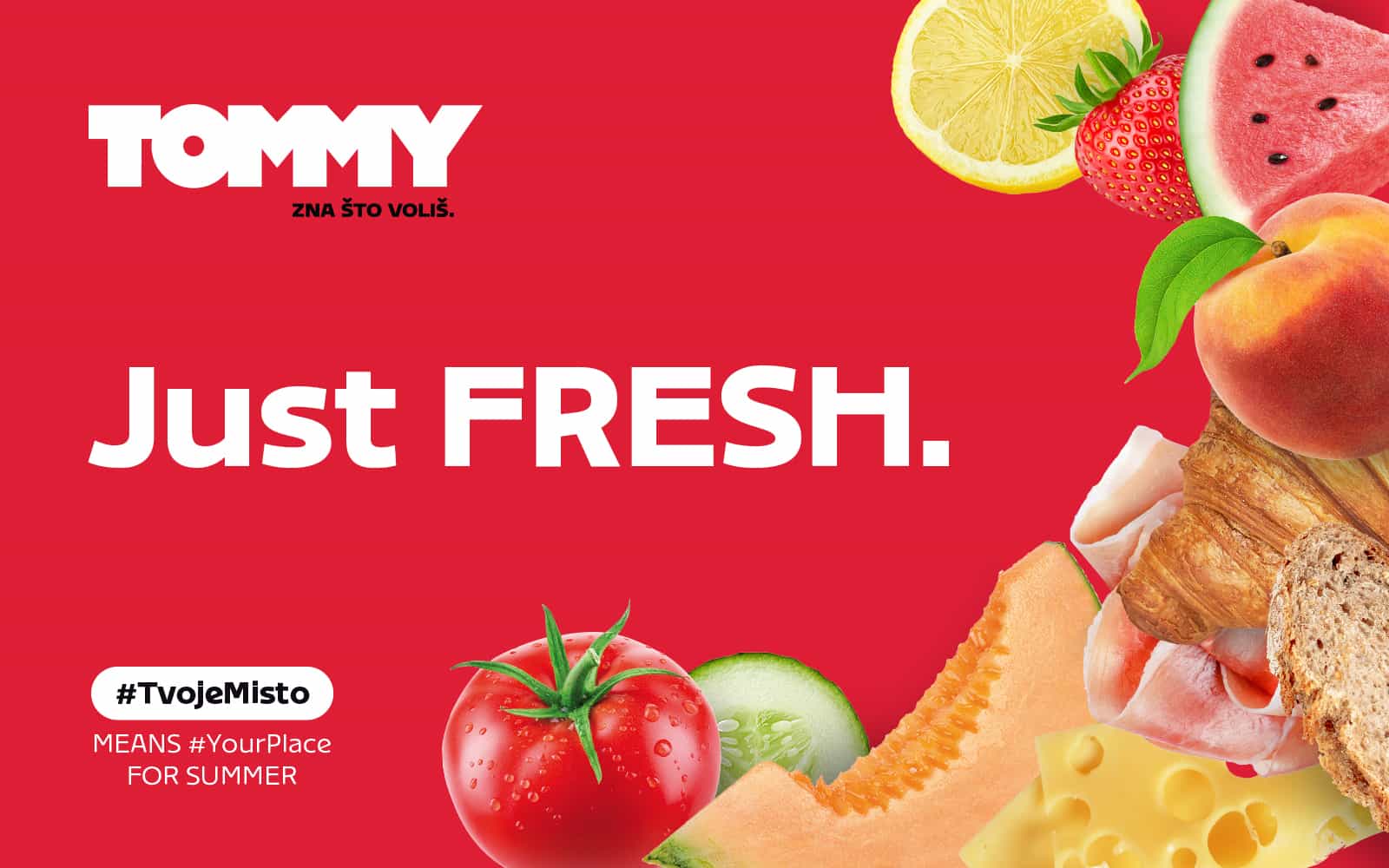 Tommy banner - Get to know Tommy and its offer!