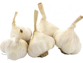 Garlic packed 250 g