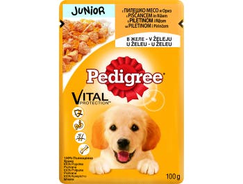 Pedigree Hundefutter Junior Huhn und Reis 100 g