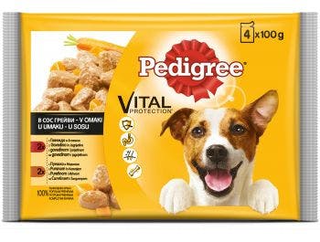 Pedigree dog food with chicken and vegetables 1 pack 4x100 g